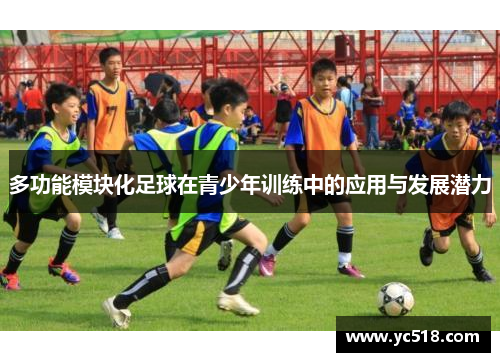 多功能模块化足球在青少年训练中的应用与发展潜力